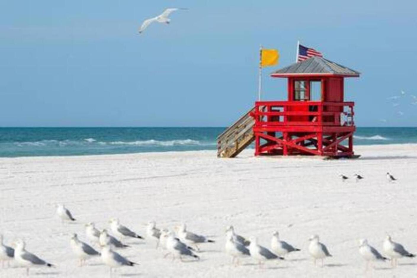 Fantastic Island House 1 Mile To The Beach With Heated Pool Sarasota Exteriér fotografie